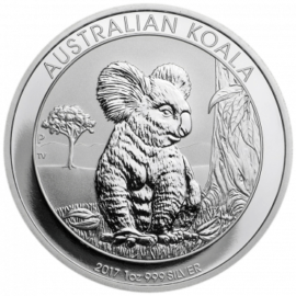 koala